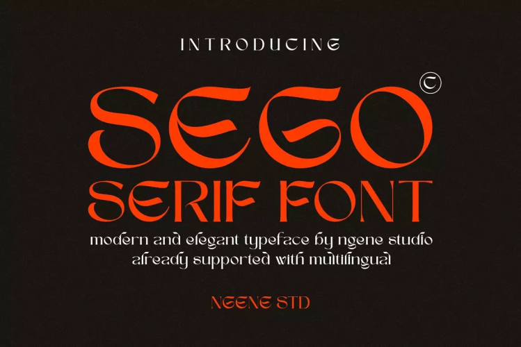 Sego Serif Font free download preview 11 – Serif Fonts font