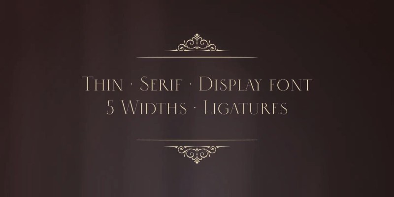 Selini Display Font free download preview 1 – Display Fonts font