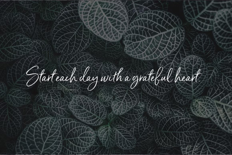 Serendipity Font free download preview 7 – Script And Handwritten font