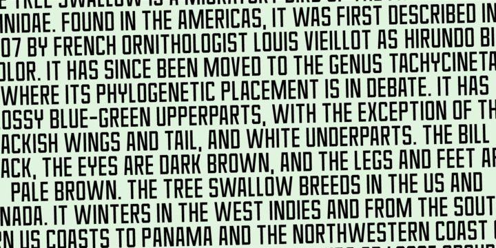 Spitzenklasse Font Family free download preview 7 – Font Family font