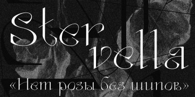 Stervella Font free download – Display Fonts font preview