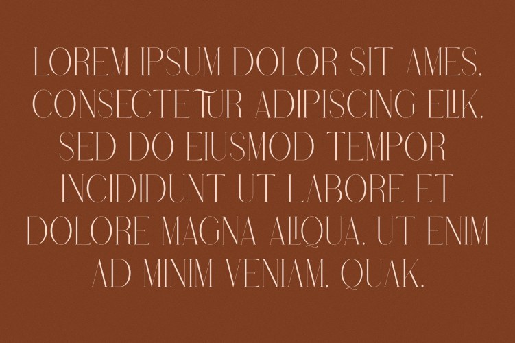 Stolen Love Font Family free download preview 10 – Font Family font
