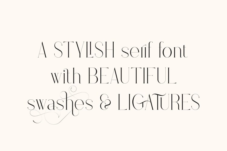 Stolen Love Font Family free download preview 8 – Font Family font