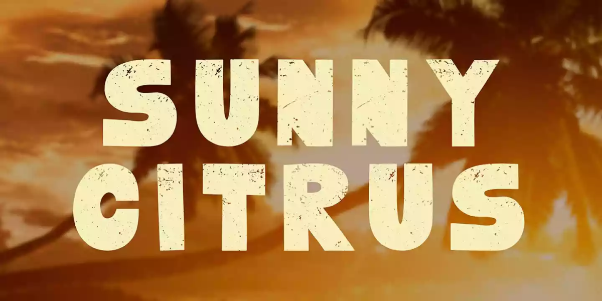 Sunny Citrus Font free download – Display Fonts font preview image for Windows and Mac