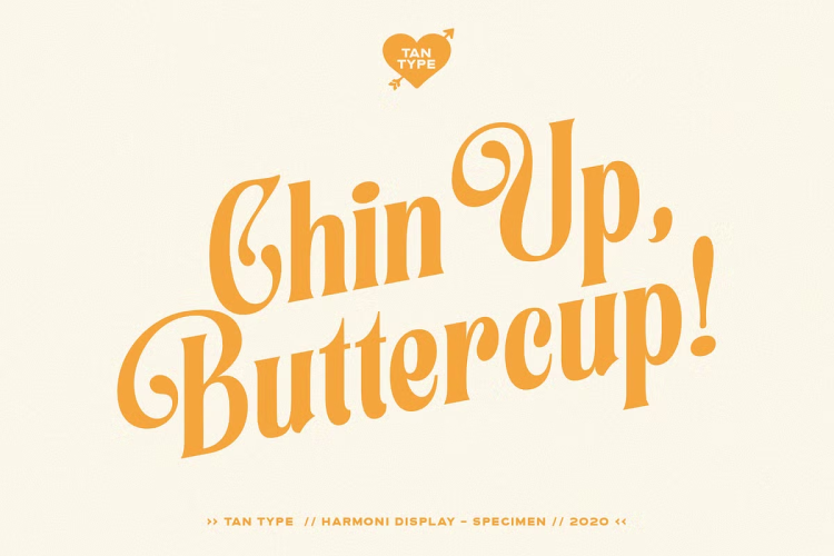 TAN Harmoni Font free download preview 1 – Display Fonts font