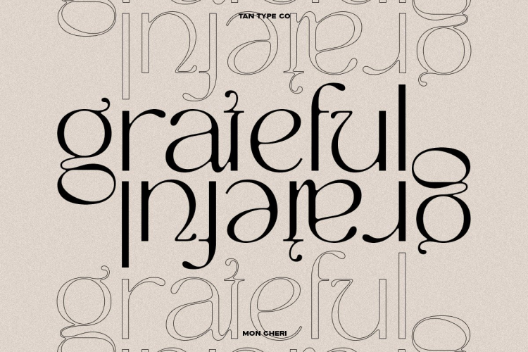TAN MON CHERI FONT free download preview 7 – Serif Fonts font