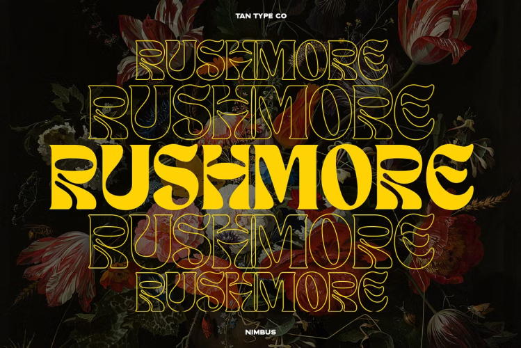 TAN NIMBUS Font free download preview 2 – Display Fonts font