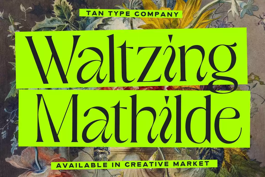 TAN WALTZING MATHILDE Font free download – Display Fonts font preview image for Windows and Mac
