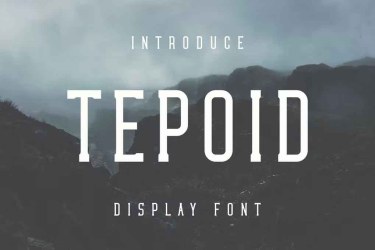 Tepoid Font free download – Branding font preview