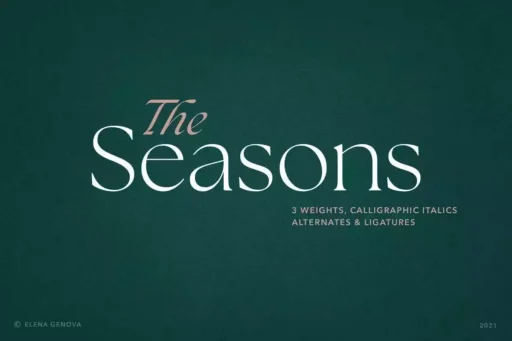 The Seasons Font free download – Serif Fonts font preview image for Windows and Mac