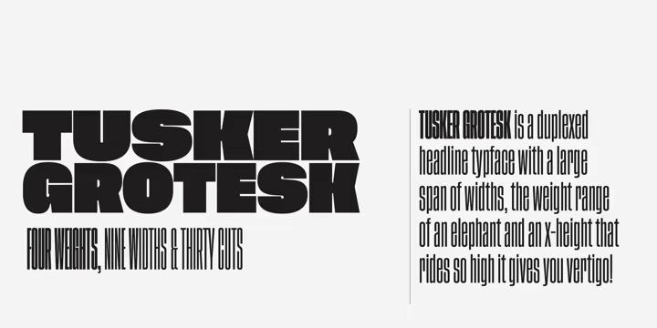 Tusker Grotesk Font Family free download preview 1 – Sans Serif Fonts font