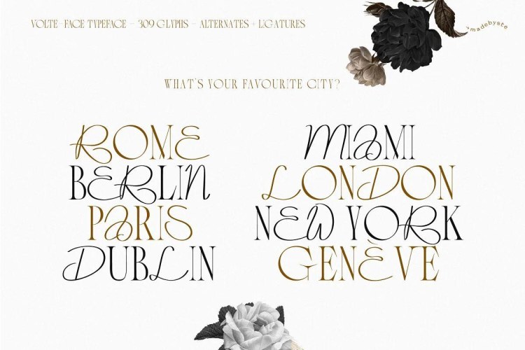 VOLTE-FACE – Serif & Script Font free download preview 6 – Serif Fonts font