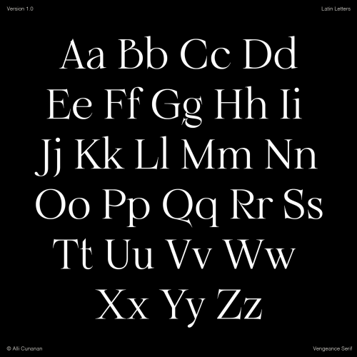 Vengeance Serif Font free download preview 3 – Serif Fonts font