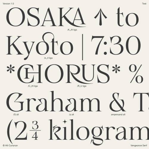Vengeance Serif Font free download preview 6 – Serif Fonts font