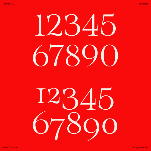 Vengeance Serif Font free download preview 8 – Serif Fonts font