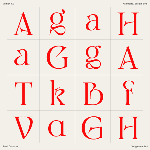 Vengeance Serif Font free download preview 9 – Serif Fonts font