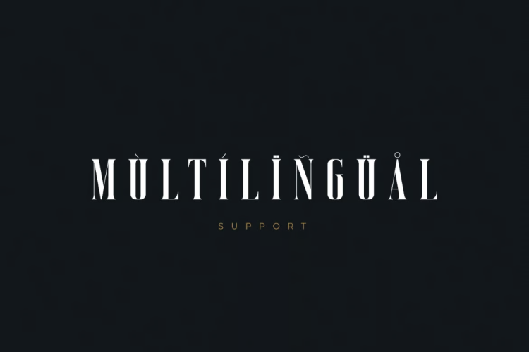 Vicenza Font free download preview 2 – Serif Fonts font
