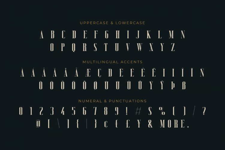 Vicenza Font free download preview 6 – Serif Fonts font