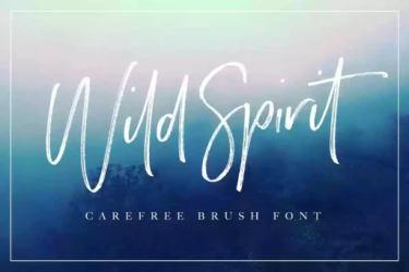 Wild Spirit Font free download – Script And Handwritten font preview