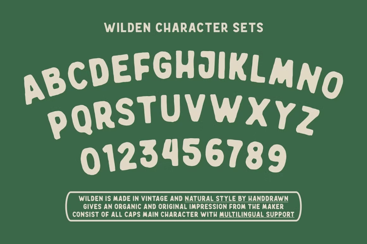 Wilden Font free download preview 7 – Display Fonts font