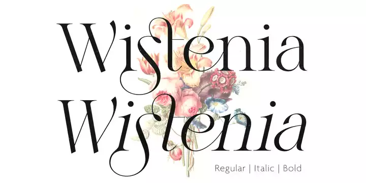 Wistenia Font free download – Serif Fonts font preview image for Windows and Mac