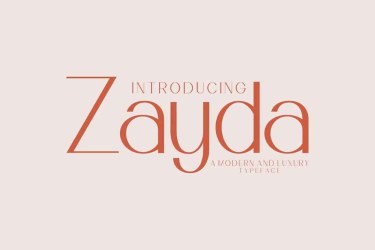 Zayda Modern Sans Serif Font free download – Sans Serif Fonts font preview