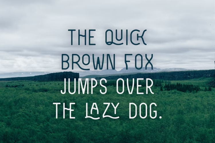 Zenzero Sans Font free download preview 3 – Serif Fonts font